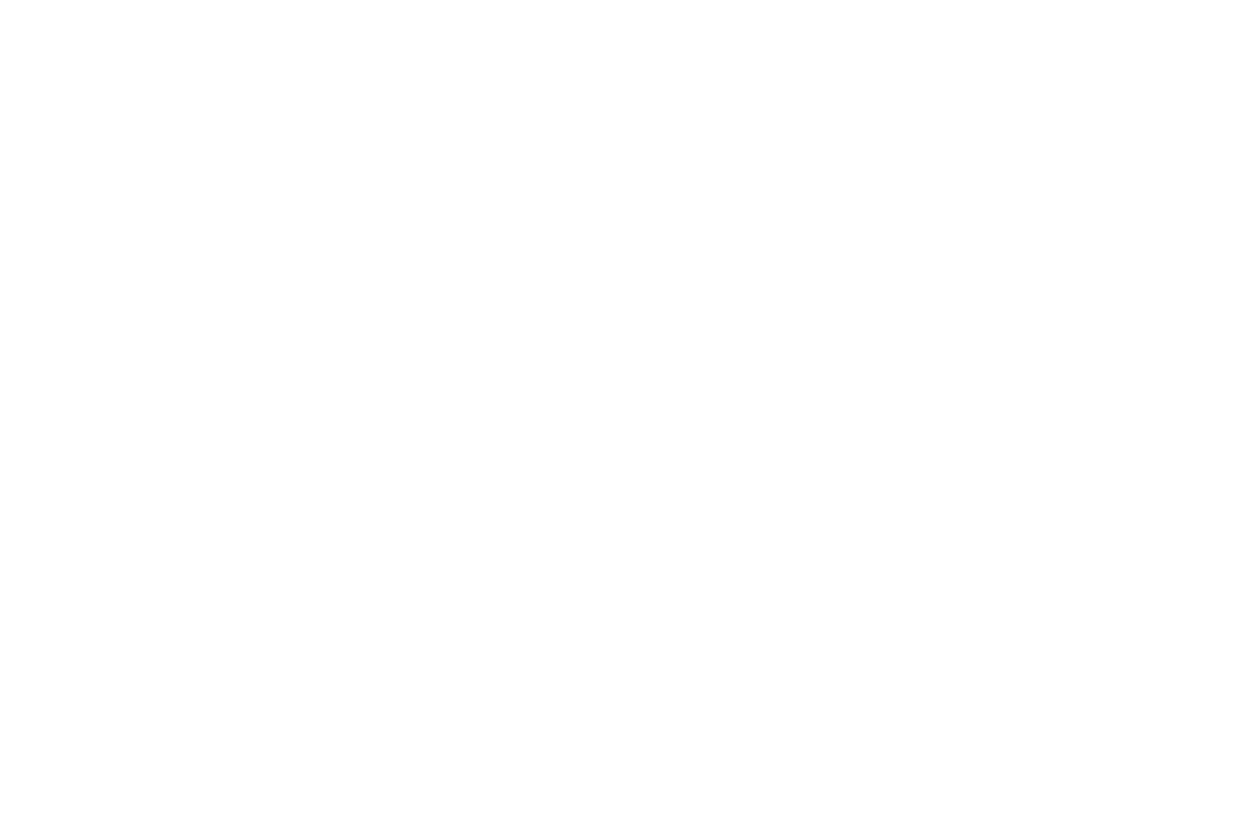 Skyer Business